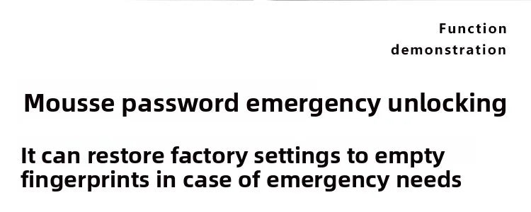 NexaBYZ TouchGuard Smart Fingerprint Lock